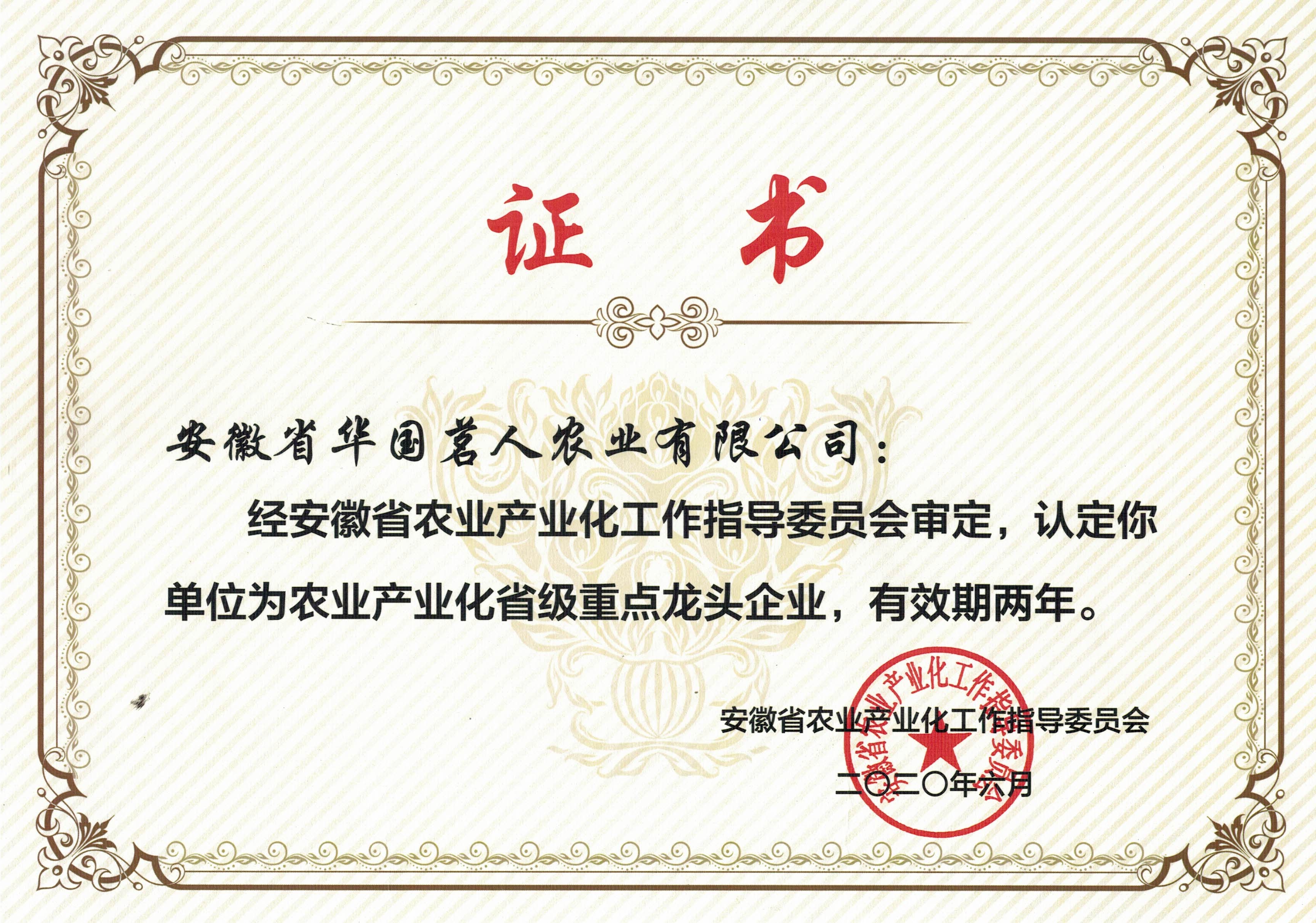 A(gu)--c(din)^I(y)C(sh)